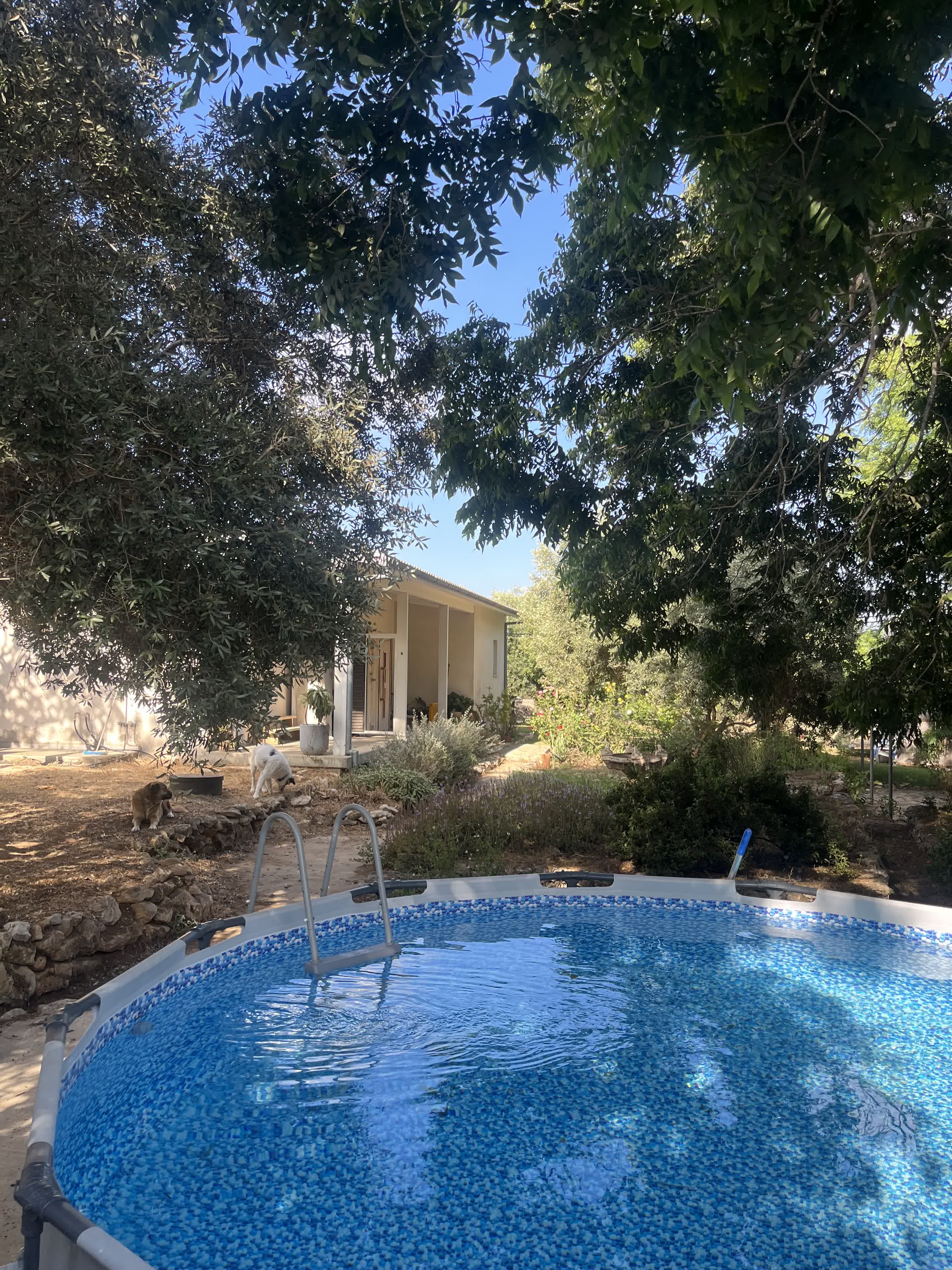הבריכה, משק 52